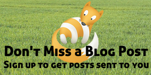 Don't Miss a Blog Post: Get Posts Delivered to You