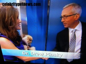 Photo of Lisa Vanderpump Giggy Dr Drew Pinsky Celebrity Pet News