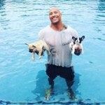 Thumbnail image for The Rock Saves His French Bulldog Puppies from Drowning